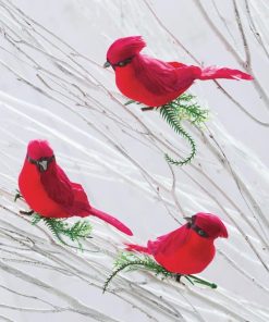 Ardorattire.shope14ac42ef1 1