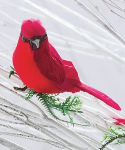 Ardorattire.shope14ac42ef1 2